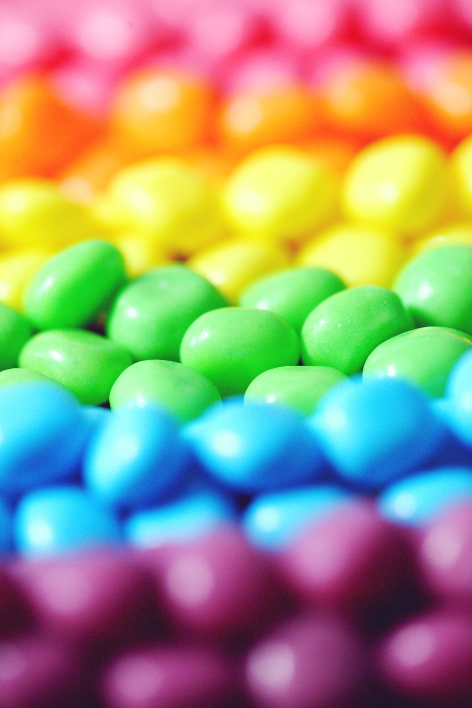 Rows of colourful candy-coated chocolates in rainbow colours